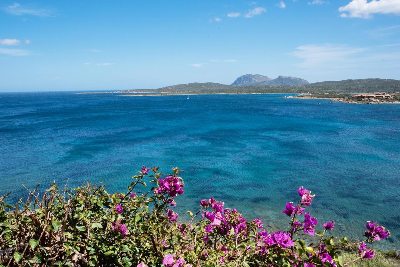 Casa Valery Wonderful Sea View Apartment Porto Rotondo Exterior foto